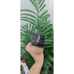 NÁUTICOS CLASICOS MARINO