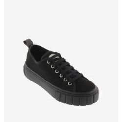 VICTORIA - LONA BAJA TERCIOPELO